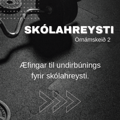 skolahreysti.png